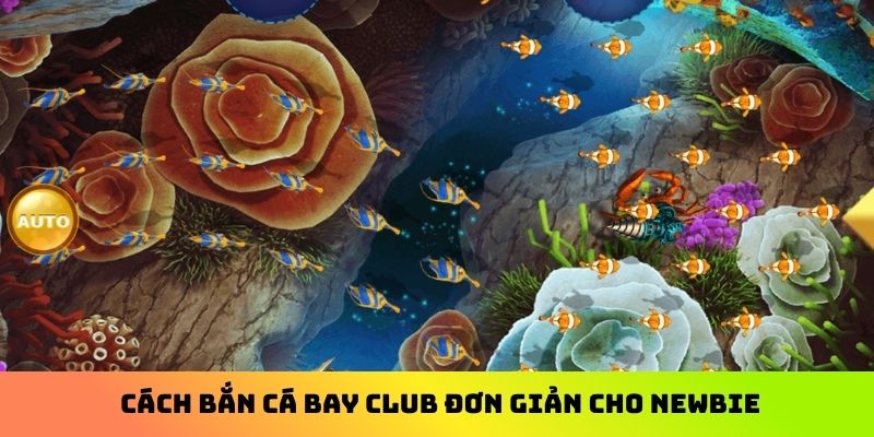 Cách bắn cá Bay Club đơn giản cho newbie